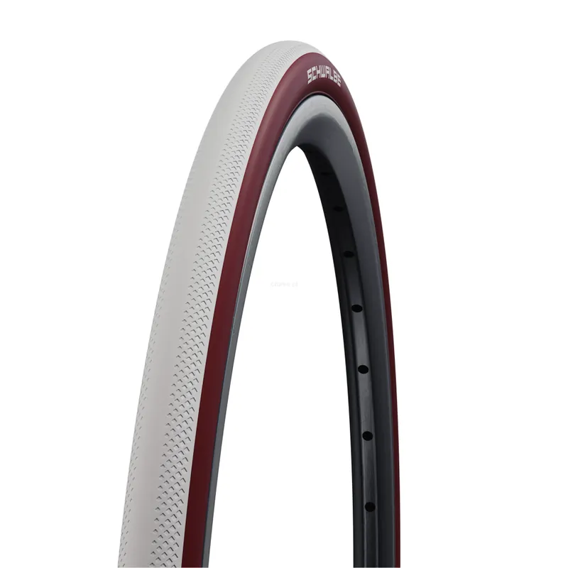 SCHWALBE Dunk King 24x1.00 Evo opona zwijana do sportów halowych biało-bordowa Tani