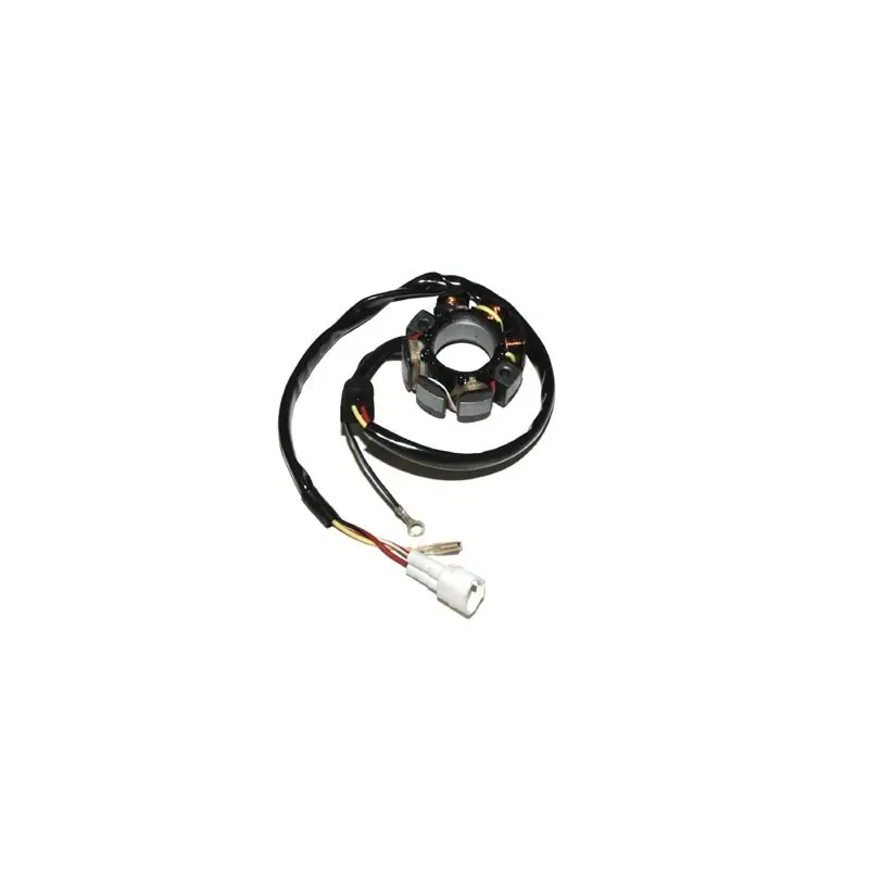 ELECTROSPORT UZWOJENIE ALTERNATORA (STATOR) ZE ŚWIATŁAMI KTM 400/450/525/540/560 Ograniczona ilość