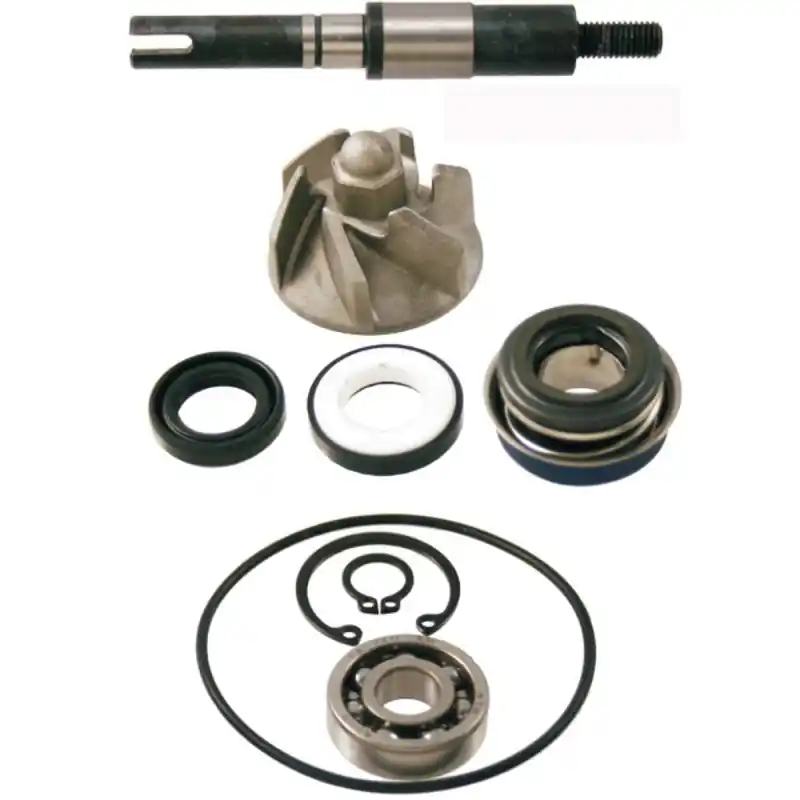 Dostępne od ręki RMS ZESTAW NAPRAWCZY POMPY WODY HONDA FES 125/150 S-WING ‘07- ‘11; FES 125/150 PANTHEON ‘03- ‘07; NES 125/150 ‘00- ‘06; SH 12